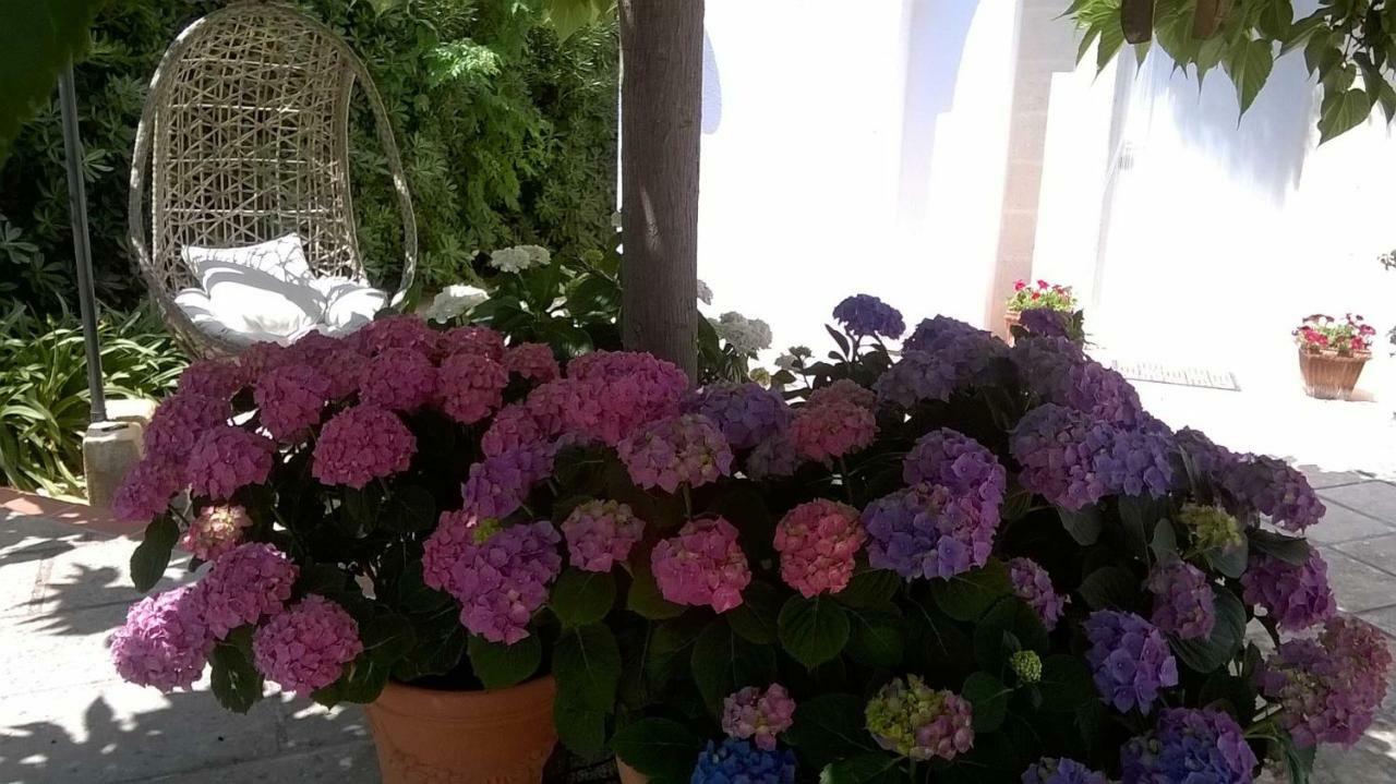 B&B Le Vele Maruggio Zewnętrze zdjęcie