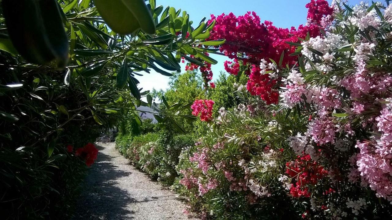 B&B Le Vele Maruggio Zewnętrze zdjęcie